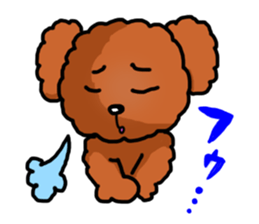 Toy poodle"Niko" sticker #6331425
