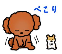Toy poodle"Niko" sticker #6331430
