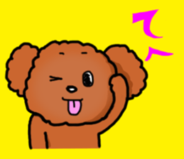 Toy poodle"Niko" sticker #6331432