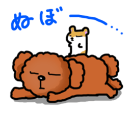 Toy poodle"Niko" sticker #6331433