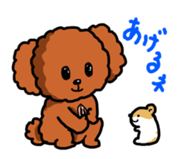 Toy poodle"Niko" sticker #6331438