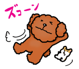 Toy poodle"Niko" sticker #6331439
