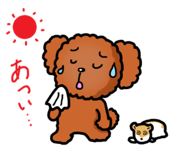 Toy poodle"Niko" sticker #6331442