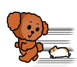 Toy poodle"Niko" sticker #6331443