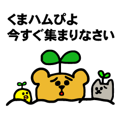 Bear, hamster, chick,Please gather now