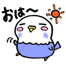 The 1st of lazy parakeet sticker #6334968