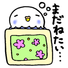 The 1st of lazy parakeet sticker #6334972