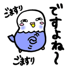 The 1st of lazy parakeet sticker #6335003