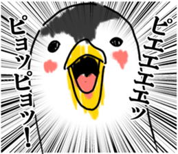 Cheeky penguin sticker #6335363