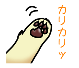 Cream-colored puppy! sticker #6337251