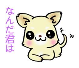 Cream-colored puppy! sticker #6337253