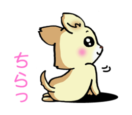 Cream-colored puppy! sticker #6337263