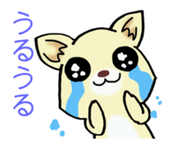 Cream-colored puppy! sticker #6337264