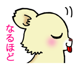 Cream-colored puppy! sticker #6337269