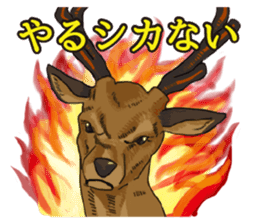Japanese puns -DAJARE- sticker #6339292