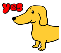 Animal face sticker (English version) sticker #6340208