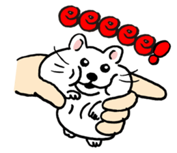 Animal face sticker (English version) sticker #6340209