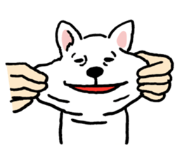 Animal face sticker (English version) sticker #6340217