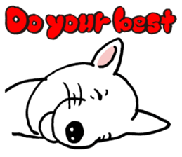 Animal face sticker (English version) sticker #6340220