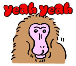 Animal face sticker (English version) sticker #6340223