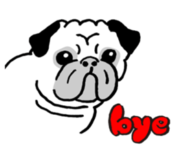 Animal face sticker (English version) sticker #6340228