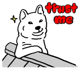 Animal face sticker (English version) sticker #6340230