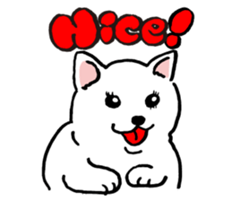 Animal face sticker (English version) sticker #6340240