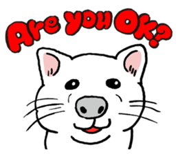 Animal face sticker (English version) sticker #6340245