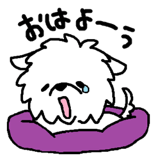 Maltese is of vanilla sticker #6343368