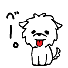 Maltese is of vanilla sticker #6343376