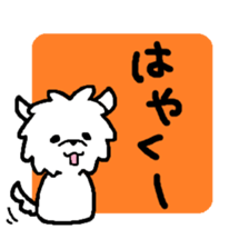 Maltese is of vanilla sticker #6343397