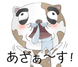 Crazy face of cat sticker #6344010