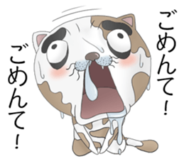 Crazy face of cat sticker #6344011