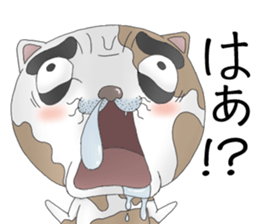 Crazy face of cat sticker #6344012