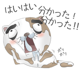 Crazy face of cat sticker #6344013