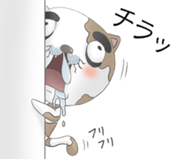 Crazy face of cat sticker #6344014