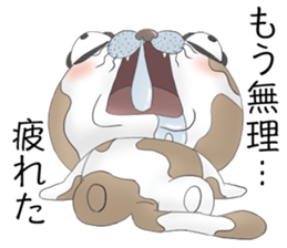 Crazy face of cat sticker #6344017