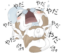 Crazy face of cat sticker #6344018