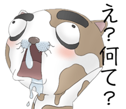 Crazy face of cat sticker #6344019