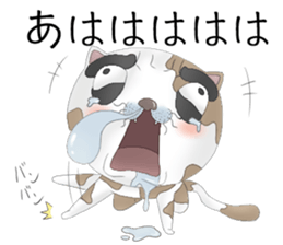 Crazy face of cat sticker #6344023