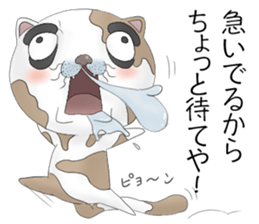 Crazy face of cat sticker #6344024