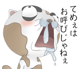 Crazy face of cat sticker #6344025