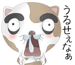 Crazy face of cat sticker #6344027