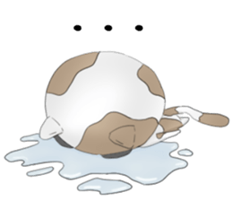 Crazy face of cat sticker #6344028