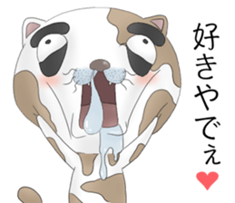 Crazy face of cat sticker #6344029