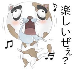 Crazy face of cat sticker #6344030