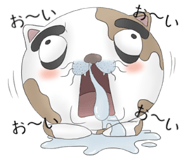 Crazy face of cat sticker #6344031