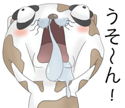 Crazy face of cat sticker #6344032