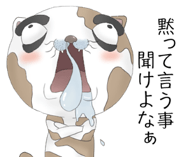 Crazy face of cat sticker #6344034