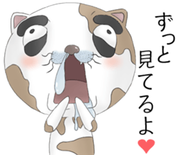 Crazy face of cat sticker #6344038